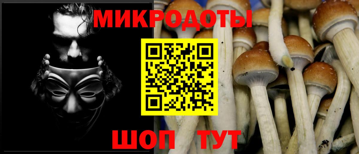 Липецк  Галлюциногенные грибы прущие грибы  Вход с VPN  купить наркотик  Галлюциногенные грибы Psilocybine cubensis 